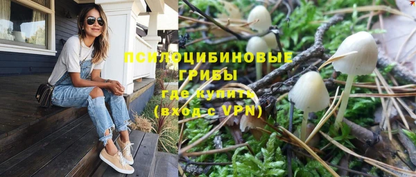 mdpv Магас