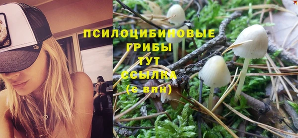 скорость Майский