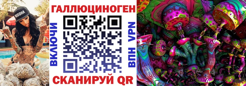 Псилоцибиновые грибы GOLDEN TEACHER Грозный