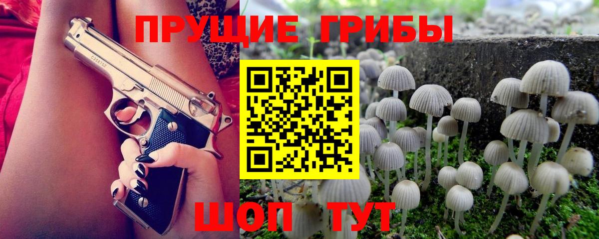 Галлюциногенные грибы Magic Shrooms Грозный
